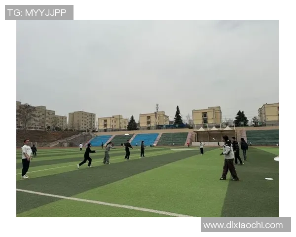 深圳飞盘队比赛经验分享与战术分析探讨之旅