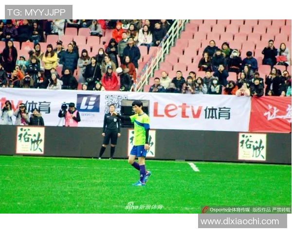 足球明星的英文单词解析与相关知识分享，助你更好理解足球文化与语言魅力